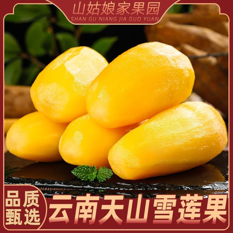 【爱心助力】云南天山雪莲果新鲜现挖清甜脆爽多汁 净重3/4.5斤