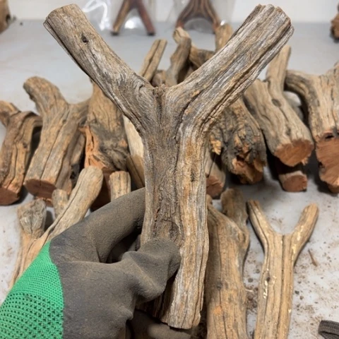 大果紫檀（缅甸花梨）曾***诺