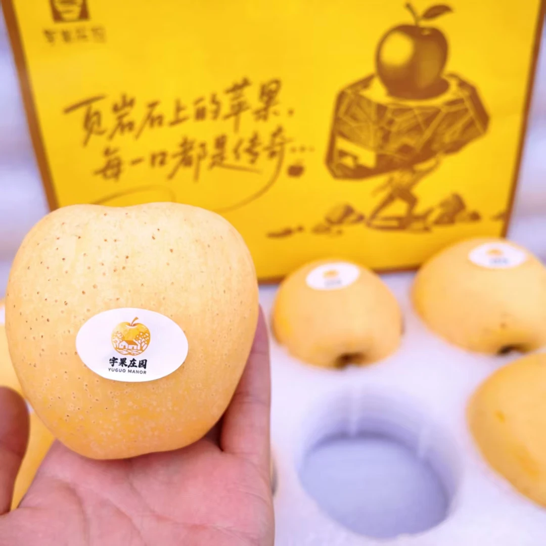 页岩山 · 山东烟台 匠心培育烟台黄金维纳斯，脆甜无酸，果香浓郁