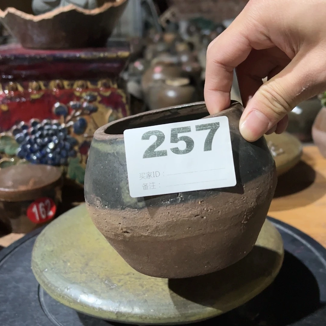 【闪购商品】土陶海**空00000000257