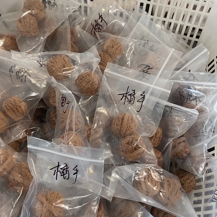 吊坠文玩核桃四座楼手捻