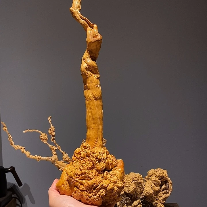 楠木D*降龙木馆藏重器