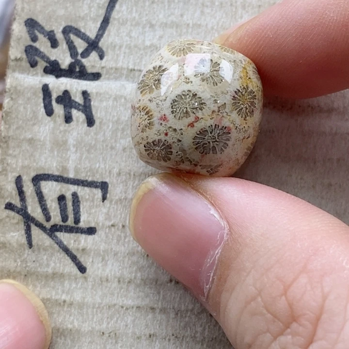 硅化珊瑚（珊瑚玉）颈饰未镶嵌鹏*