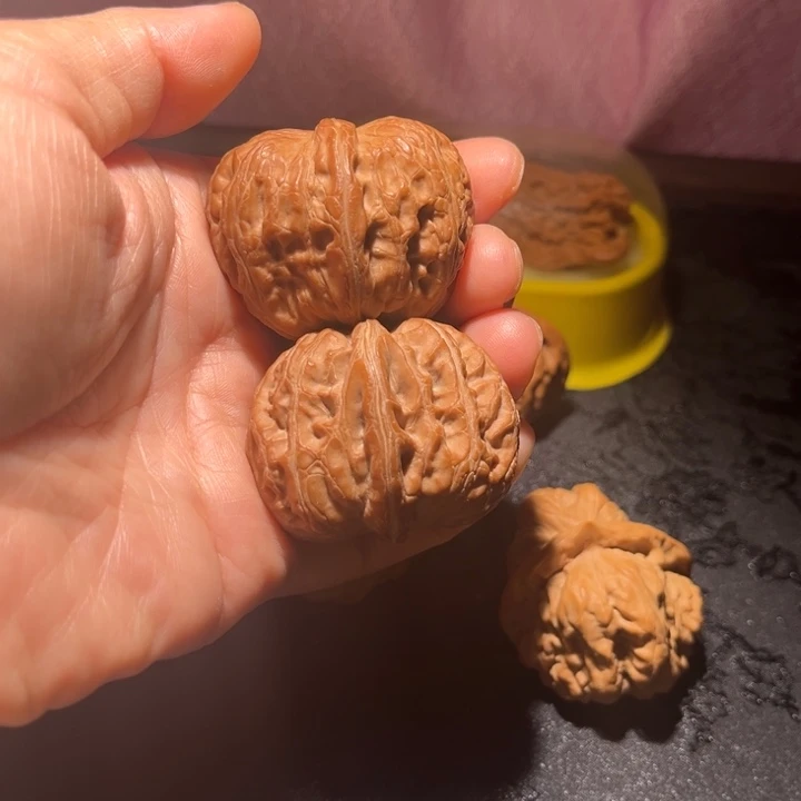 龙脊菩提吊坠元宝