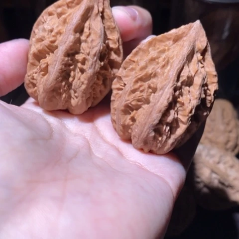 把件文玩核桃东北野生楸子小园 130