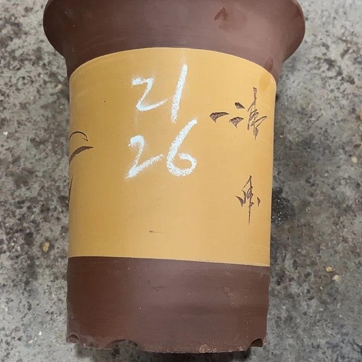 紫砂工艺厂……紫砂工艺厂……