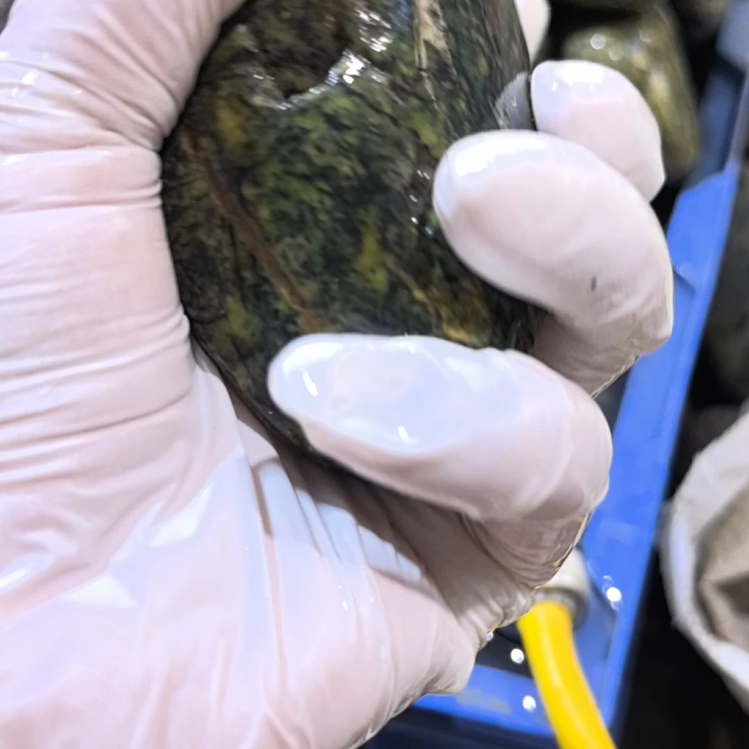 啊***黎木藏玉药王石原石