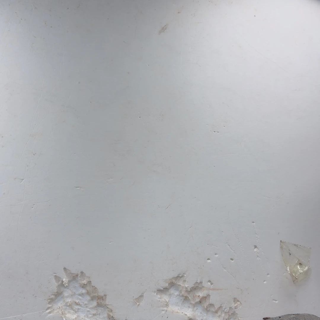 当前无花栽培后可以开花琳**常