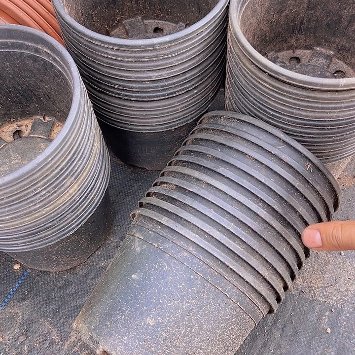 加仑盆口径16高12发10