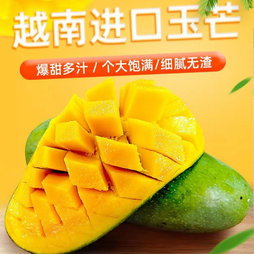 (催熟放软吃)越南进口玉芒青芒果新鲜水果带箱3斤装单果300-500克