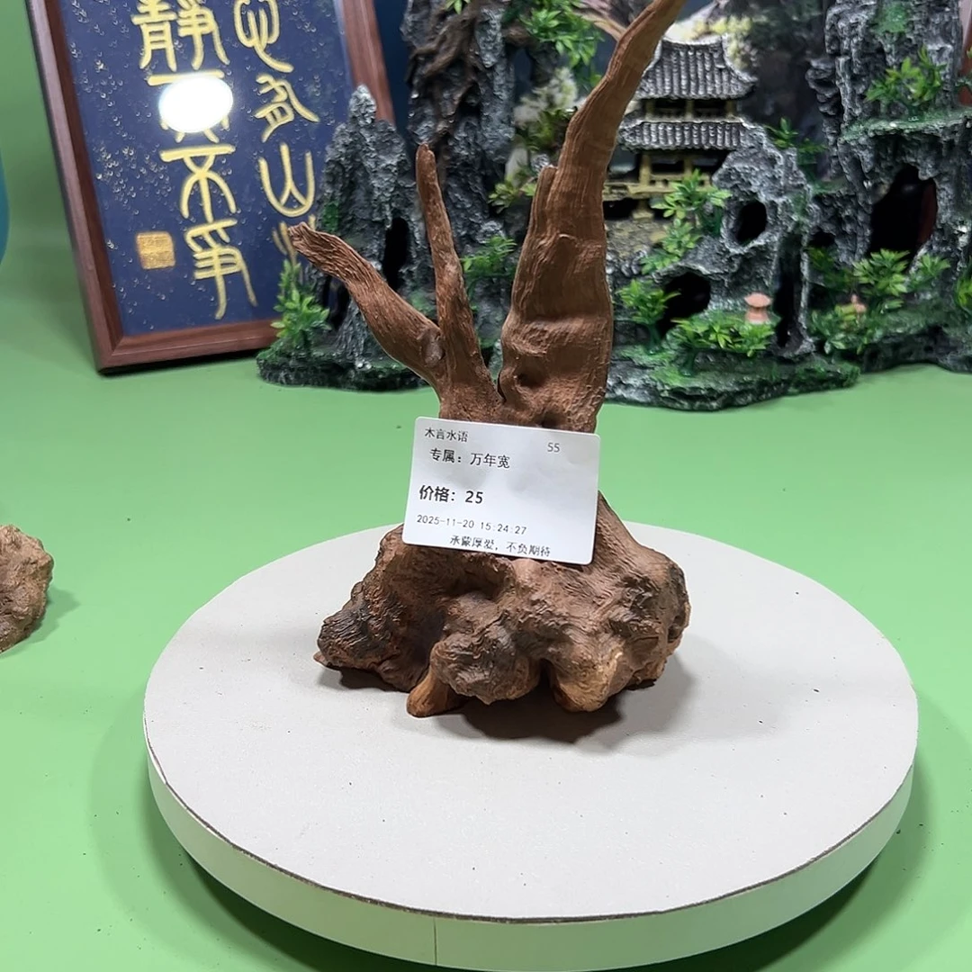 万***宽大果紫檀（缅甸花梨）