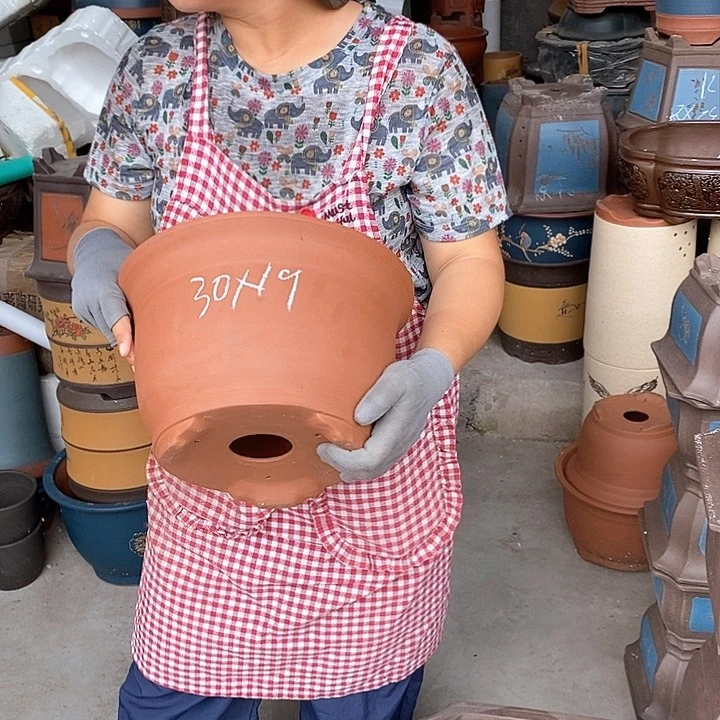 紫砂花盆盆栽植物花卉种植