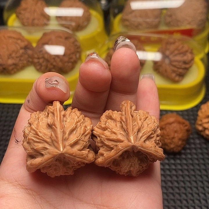 天然真奔三棱   35