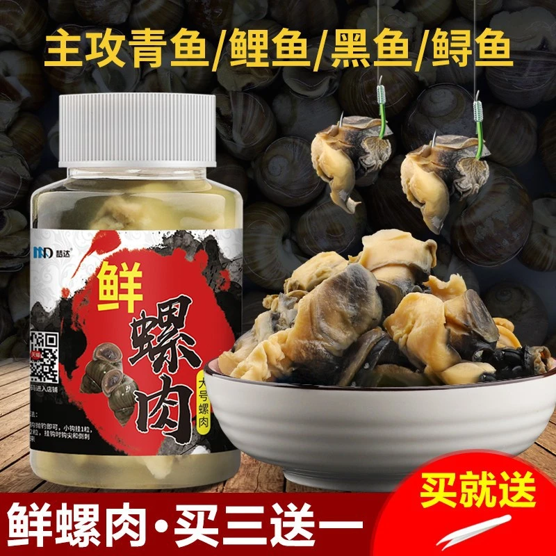 螺肉鱼饵野钓鲫鱼青鱼鲤鱼鲶鱼黑鱼饵料黑坑湖库螺丝肉颗粒钓鱼食