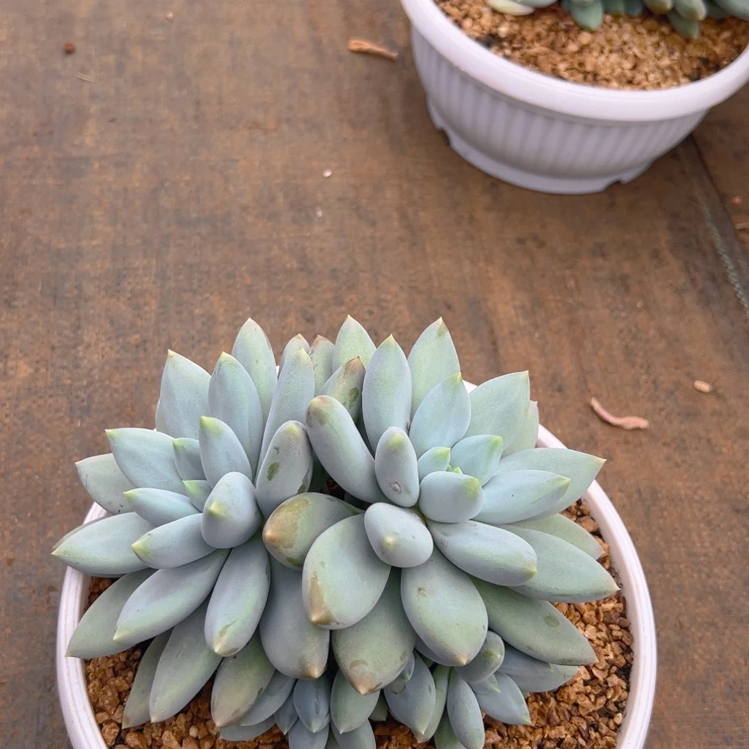 82411111111111111111