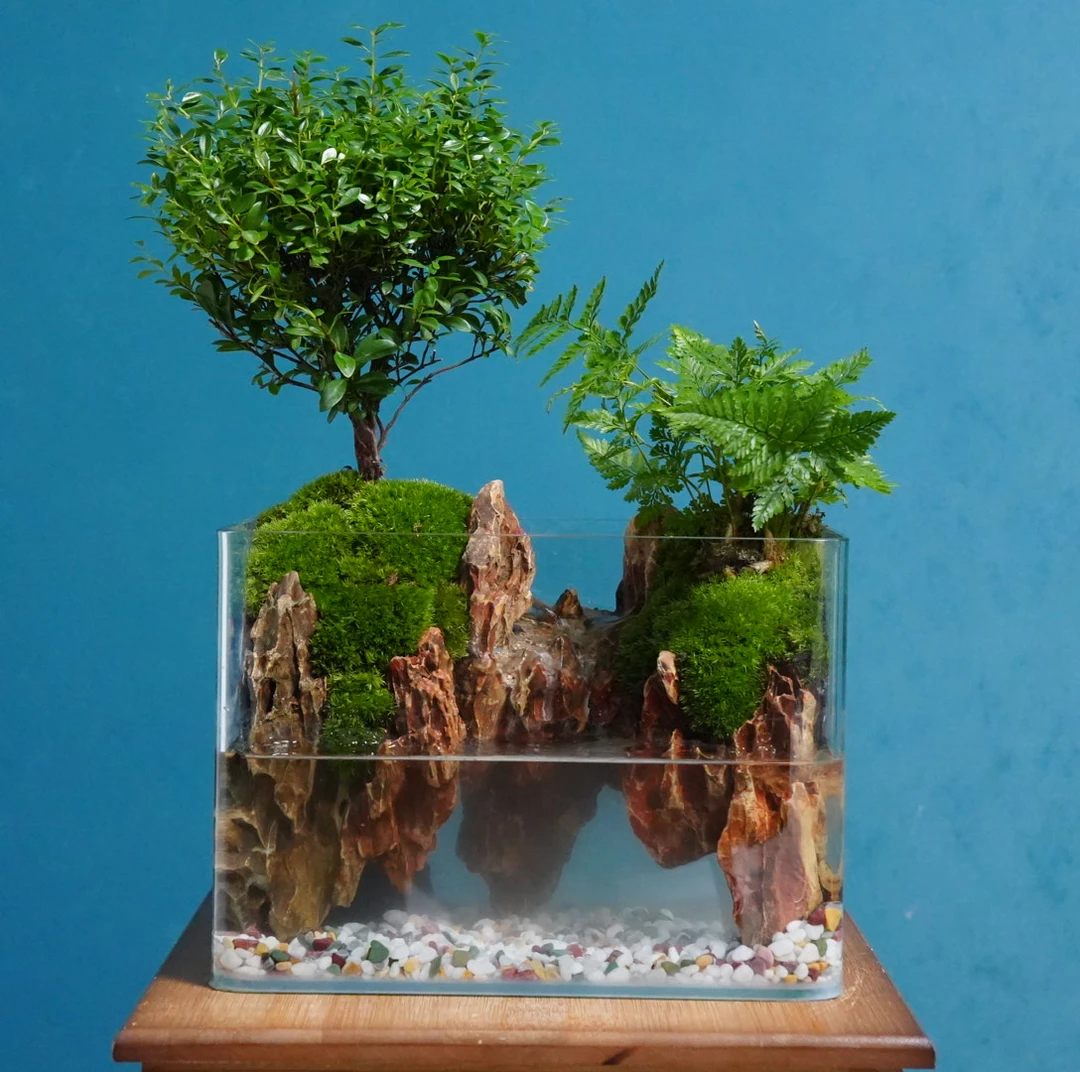 【新品】天空之城-小叶赤楠室内桌面绿植景观室内小绿植松皮石景观