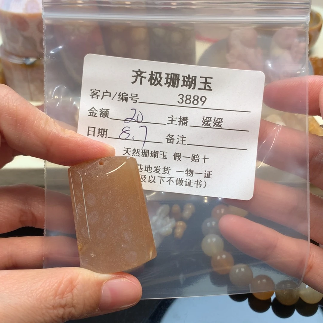 硅化珊瑚（珊瑚玉）未镶嵌颈饰彩*