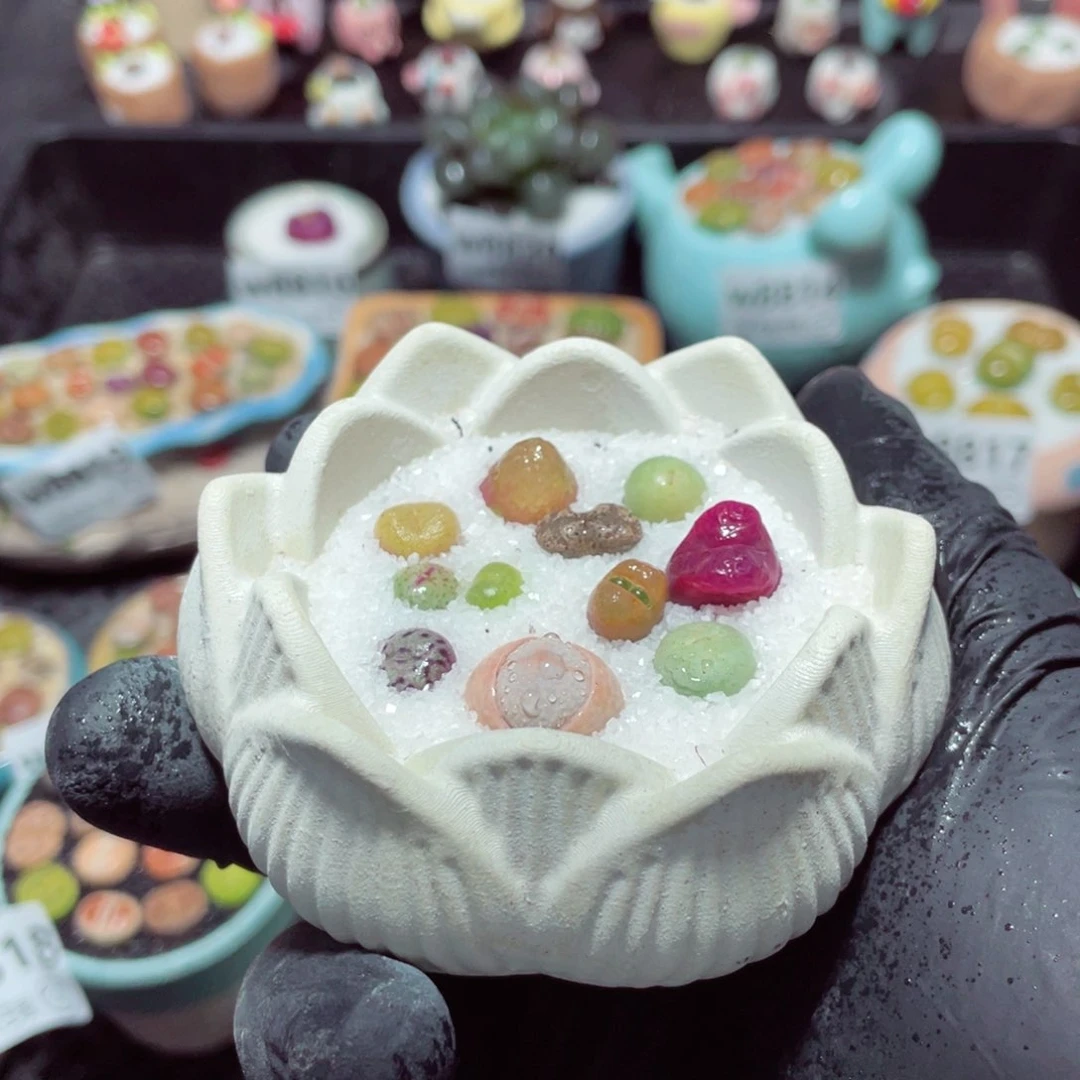 w8824--带盆土发货，零下地区拍保温箱