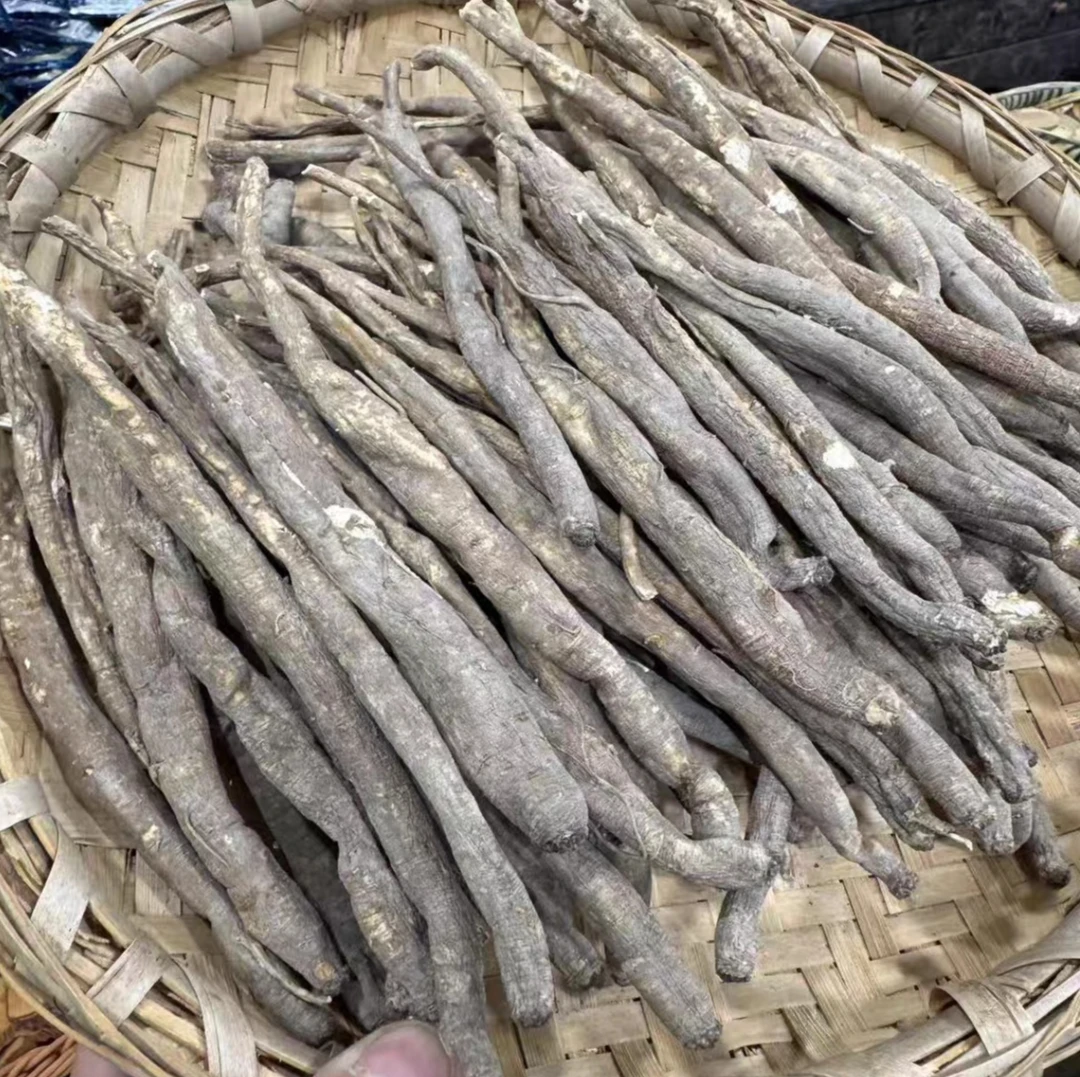 甘肃秦岭高山原产当归炖汤煮水养生