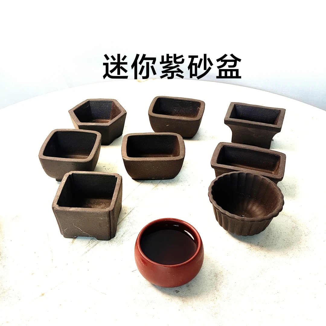 迷你小花盆苔藓菖蒲等盆栽可作书房摆件