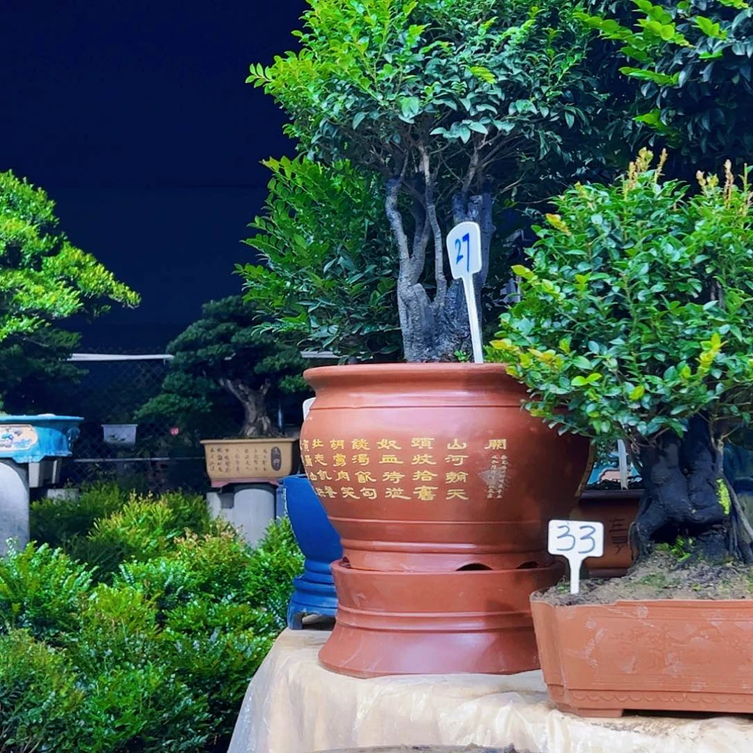 以实际为准俊*～12345678，