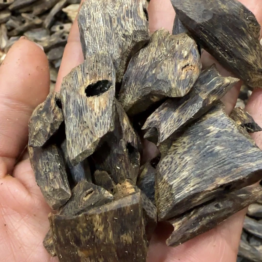 沉香木摆件海南棋楠沉香一代张勺子块料100克