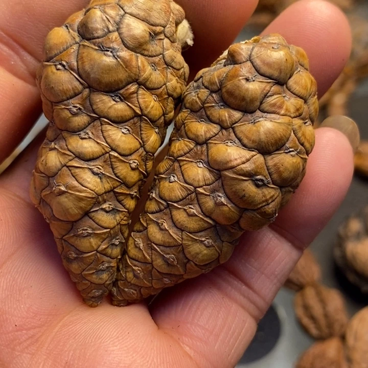 文玩核桃吊坠拿姐工艺1