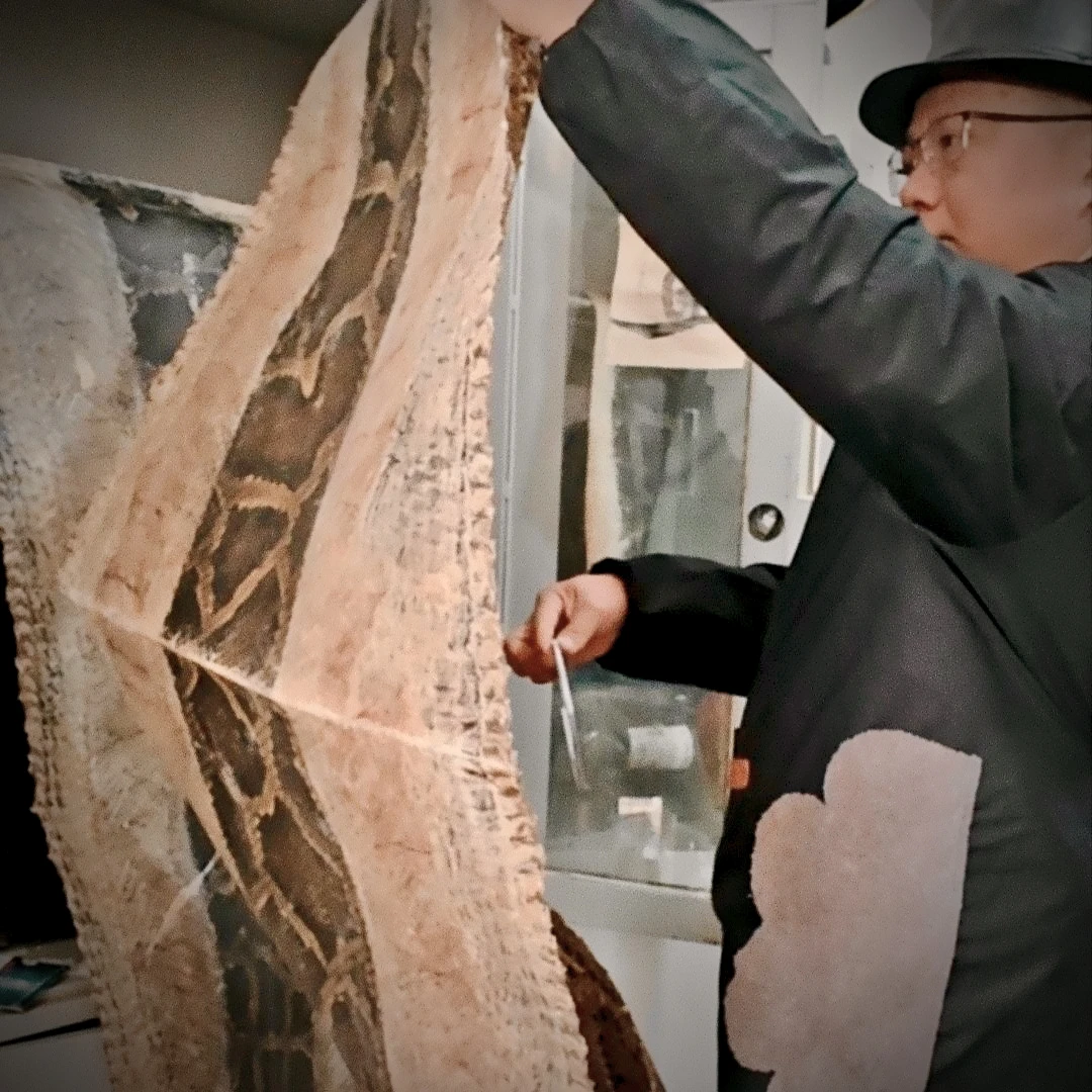 二胡维修换皮演奏考级，收藏