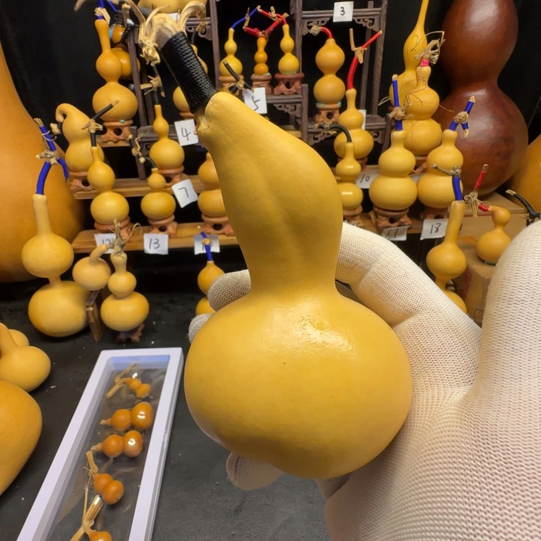 凤***凰葫芦哈哈哈哈哈哈