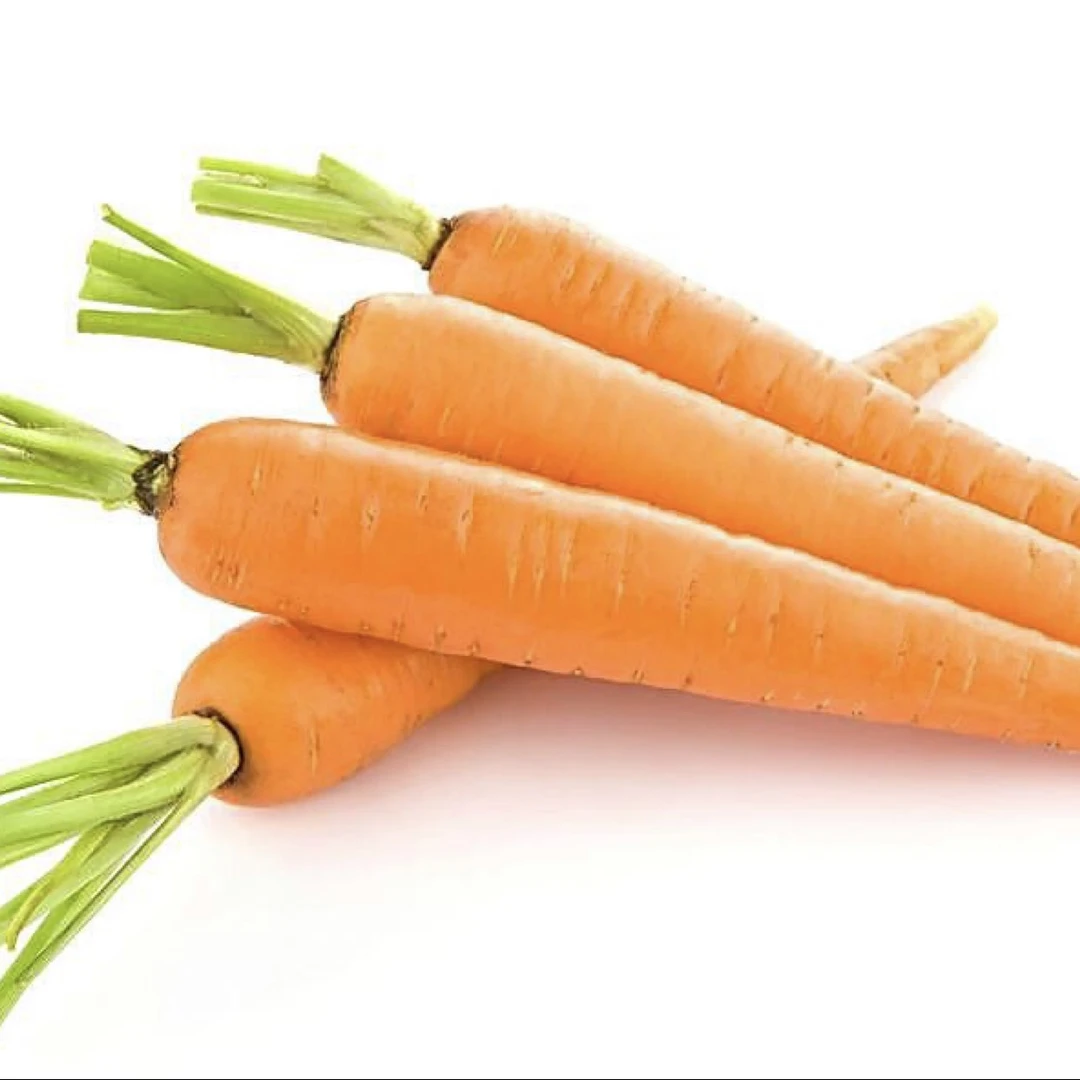 红色胡萝卜（一根）