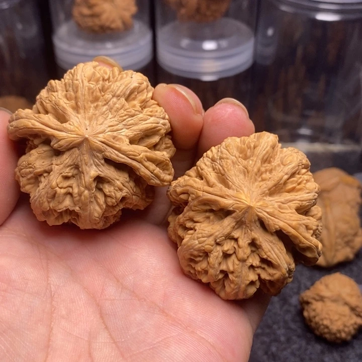 吊坠文玩核桃48大粗筋