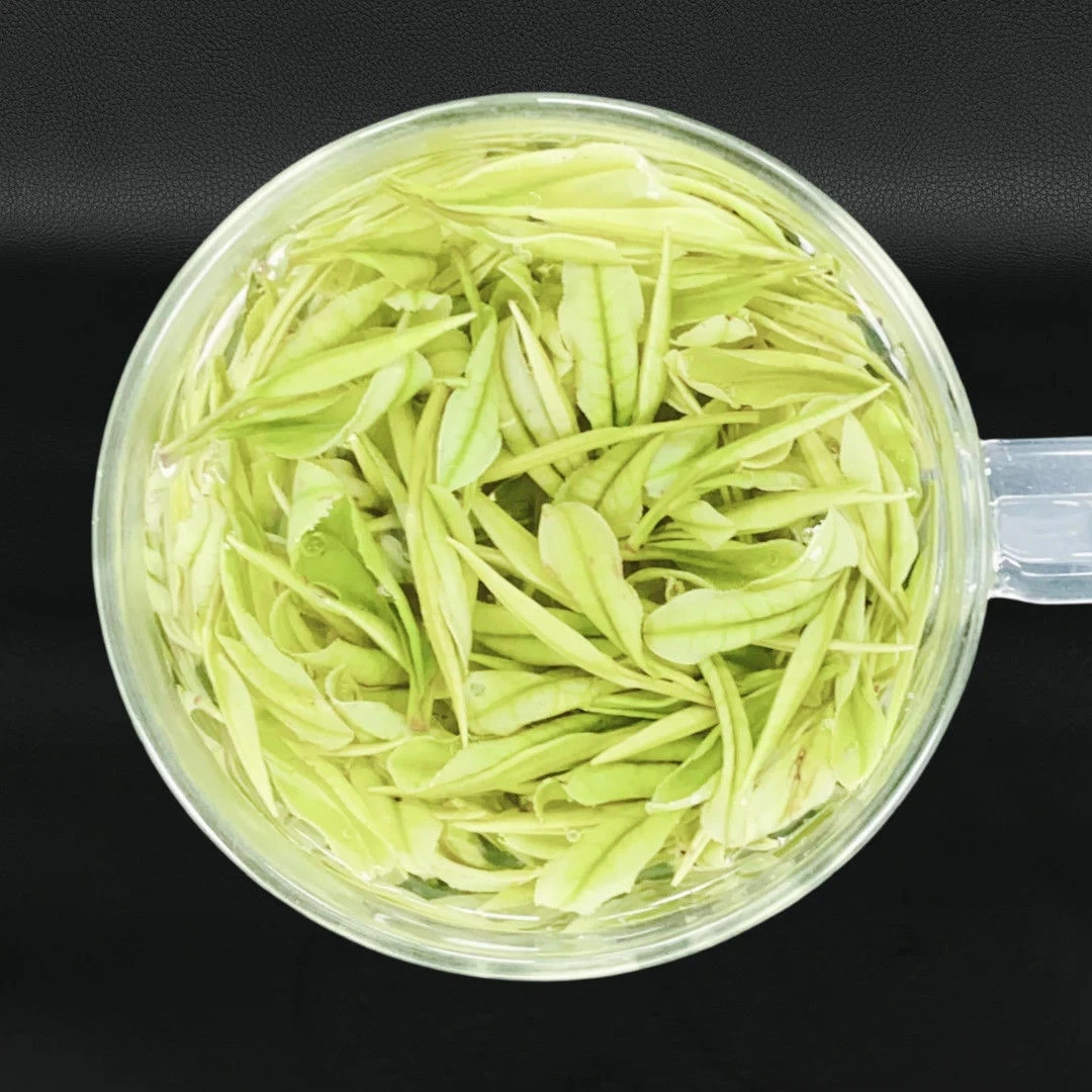 原产地白茶明前春茶高山茶