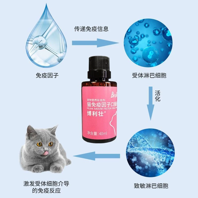 高免因子口服液猫咪提高免疫力增强抵抗力