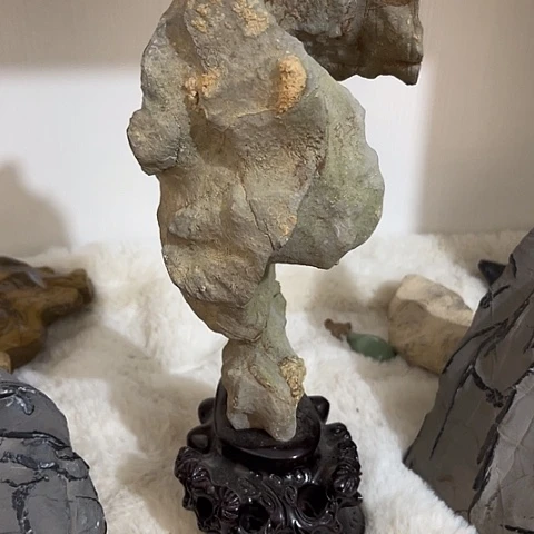 无花朵用****3家居装修效果图