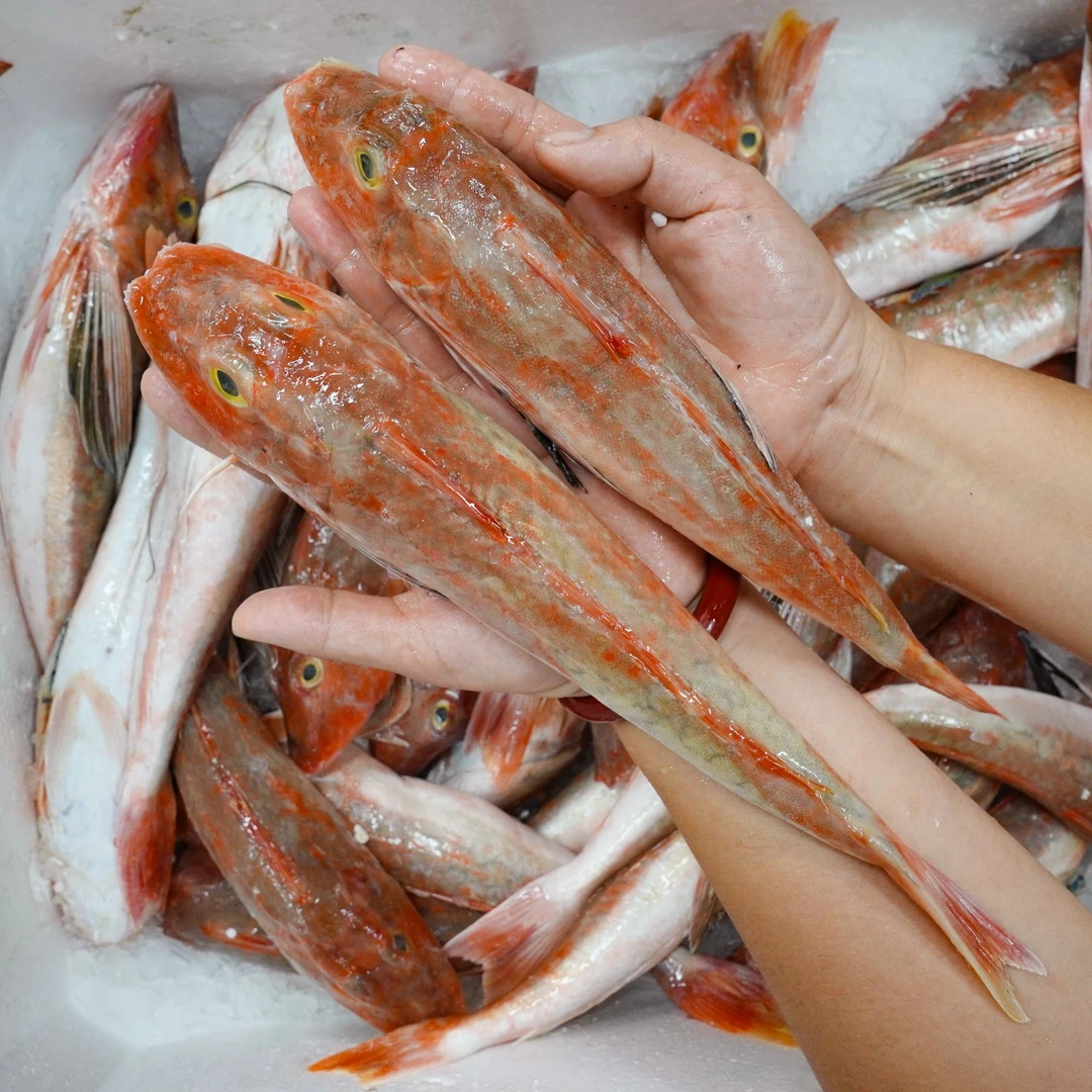 本港红角鱼 新鲜海鲜水产 海鲜生鲜 肉质鲜嫩肥美