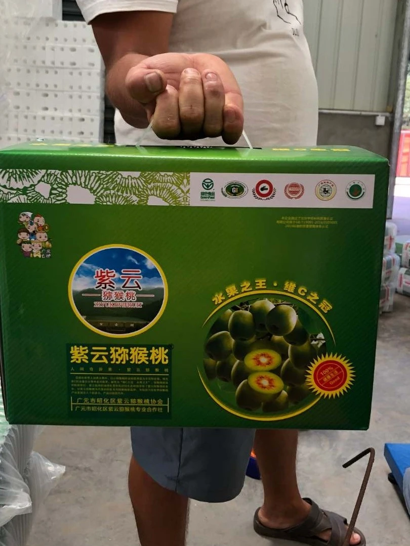 四川广元紫云红心猕猴桃自家果园新鲜应季水果奇异果甜手提礼品盒