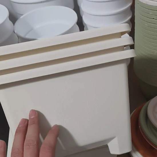 微瑕球根方的米白色三个