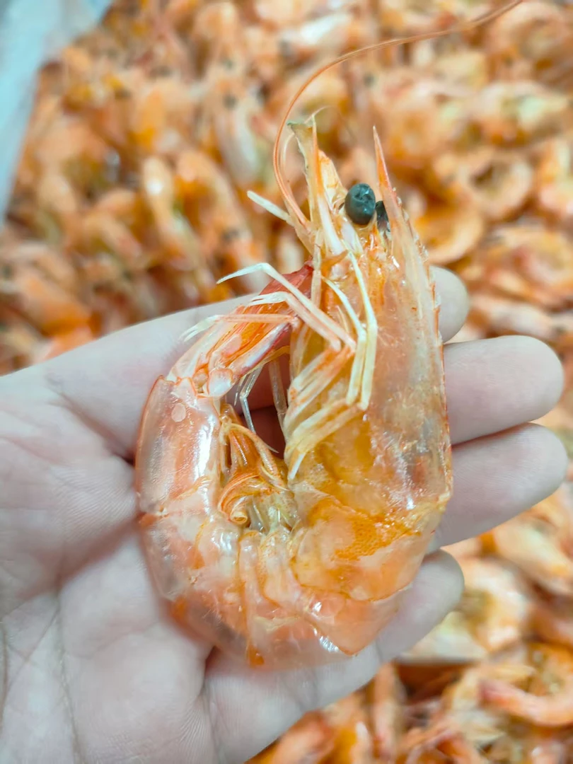 青岛本地大田烤虾海鲜干货零食