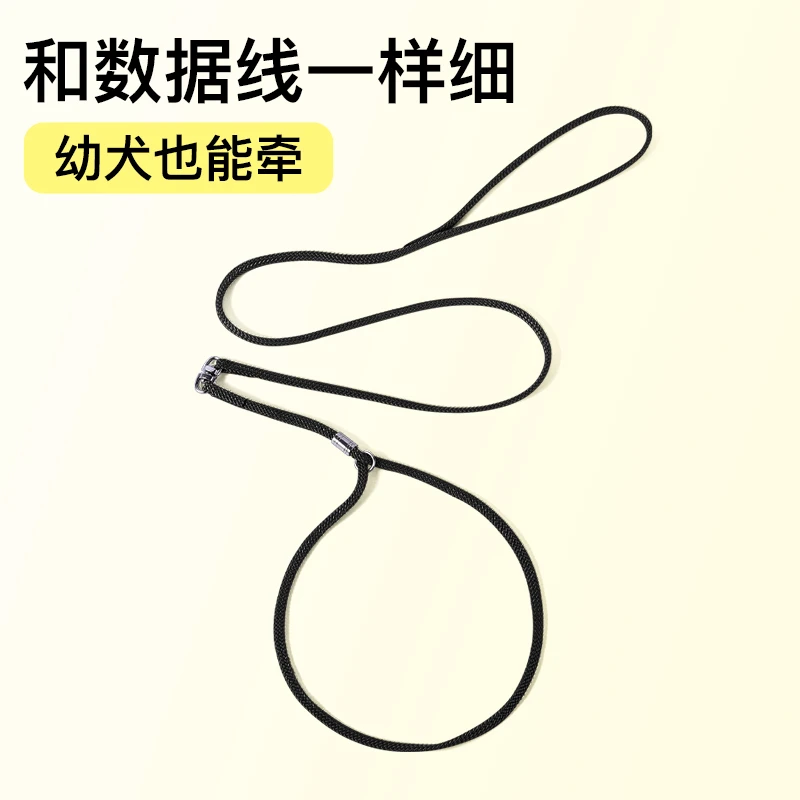 幼犬赛级牵引绳西高地训犬小型犬泰迪比熊雪纳瑞博美不勒脖p绳