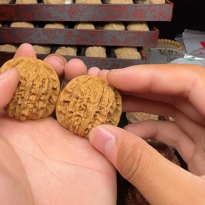 轻***₄吊坠龙脊菩提啊啊啊啊啊啊啊啊啊啊啊6