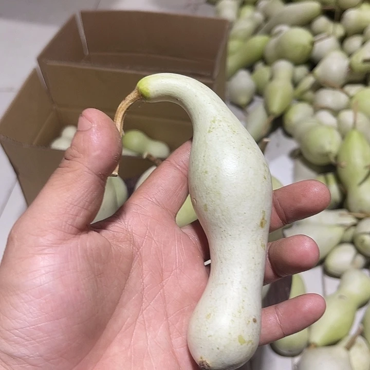 非洲紫檀（红花梨）木*