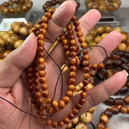 柏木（崖柏）崖柏0.6