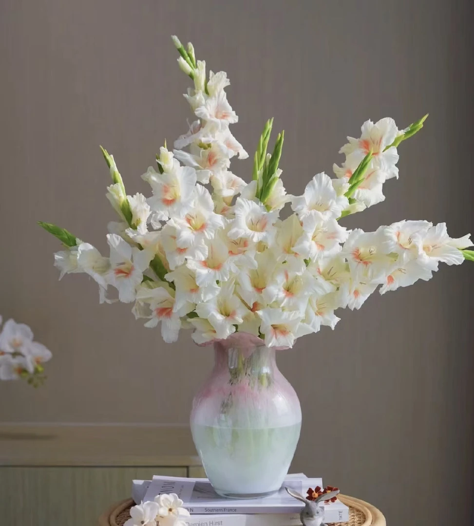 【小阿阮】剑兰 · 超温柔节节高升花期长家庭鲜花装饰 顺丰冷链