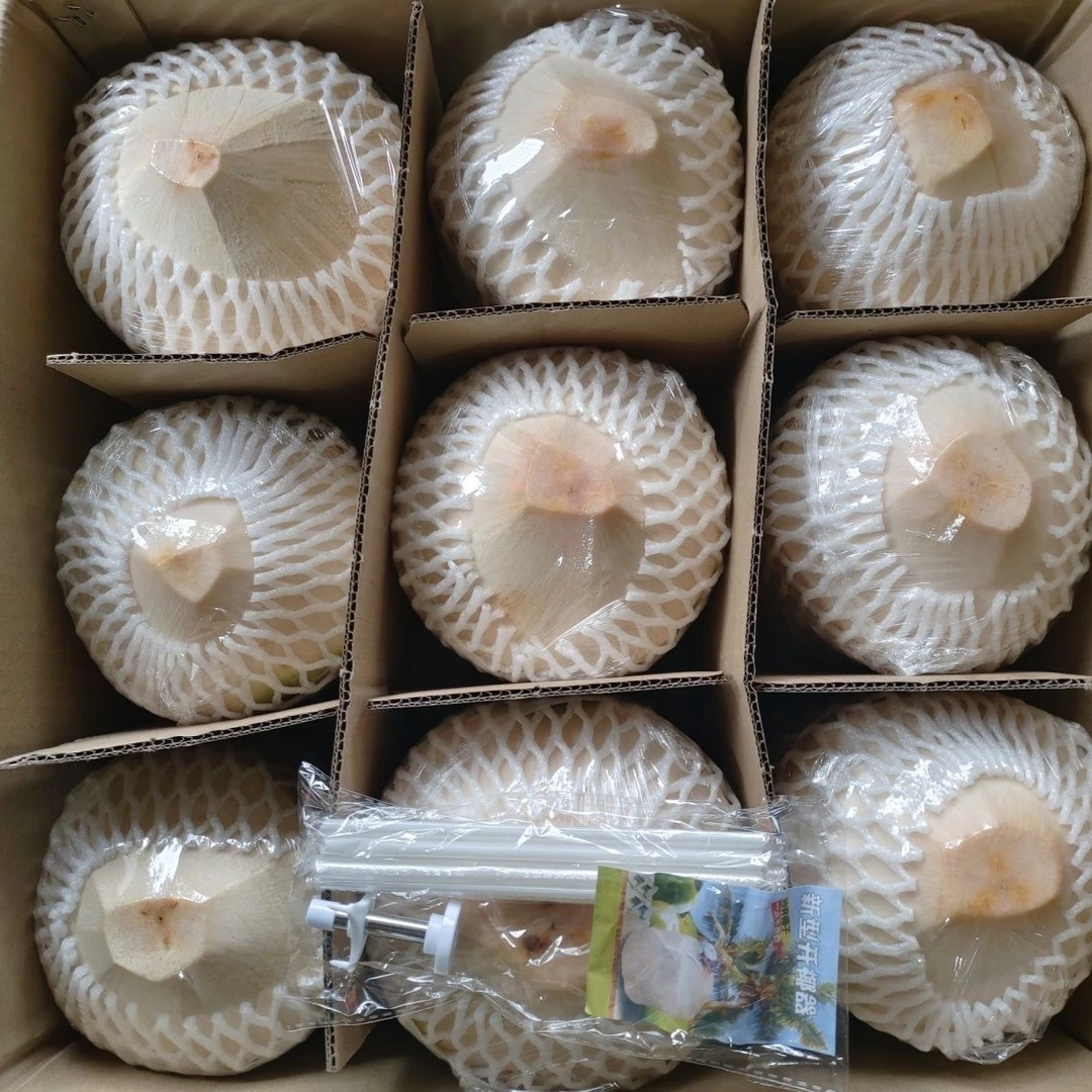 海南新鲜椰青椰子精选9个装（送开椰器和吸管）生鲜孕妇水果