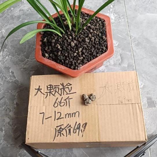 ****哥兰菌黑山土大颗粒6.6斤