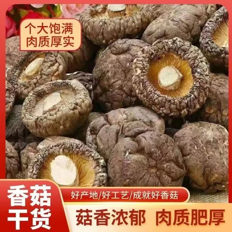 古田干香菇肉厚无根农家特产食用菌可炖鸡汤的美食食材
