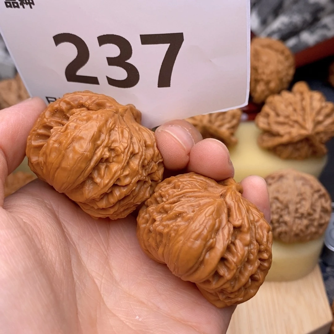 文玩核桃把件39白狮子犀牛