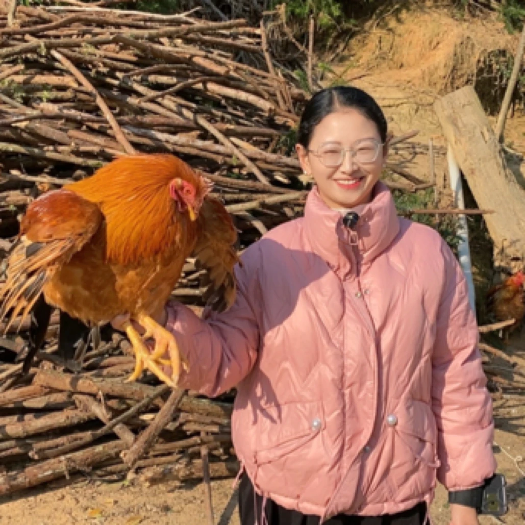 【散养鸡】散养土鸡河田鸡 包冰率10%以内