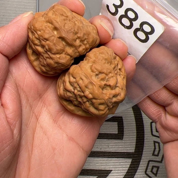 核桃40边41肚388号蛙