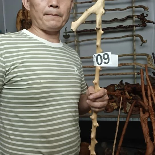 t***n香榧木高山 檬子木文玩料